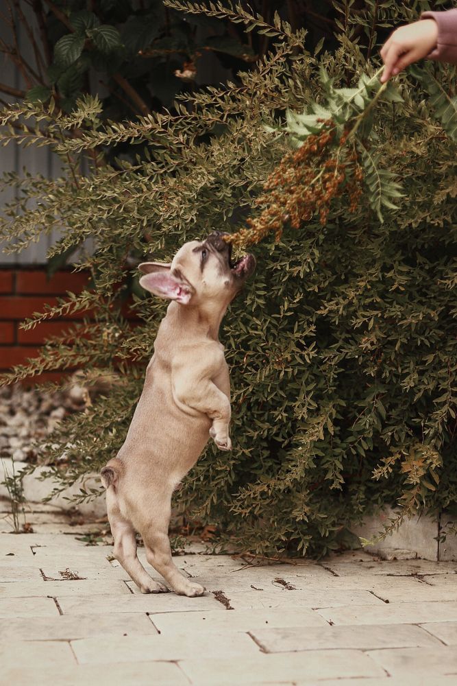 Photograph by Светлана Беляева