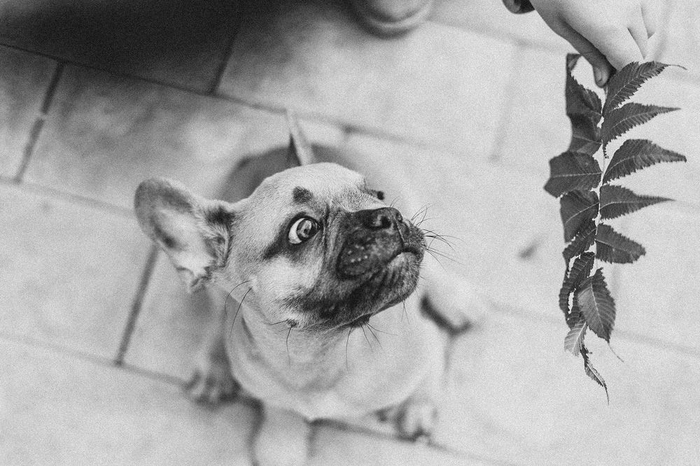 Photograph by Светлана Беляева