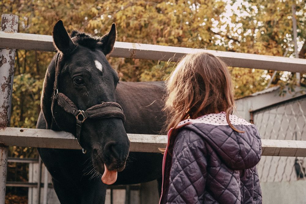 Photograph by Светлана Беляева