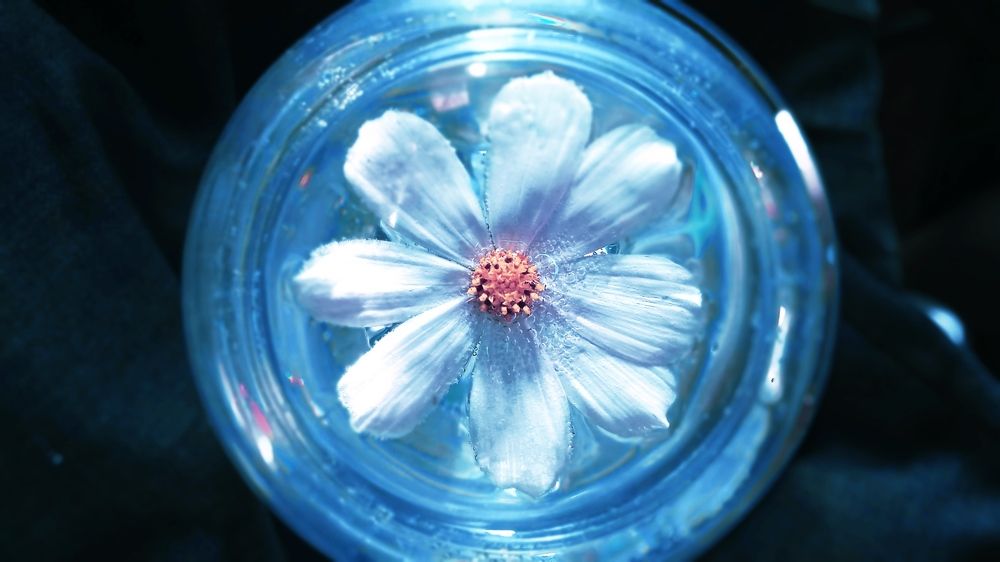 Photograph by Ольга Рыкова