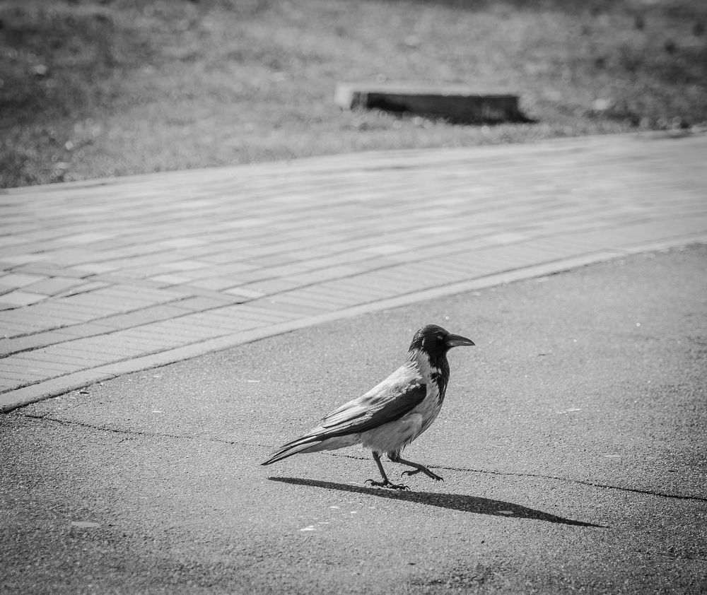 Photograph by Anna Prohorova
