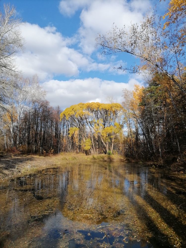 Photograph by Наталья Веряскина