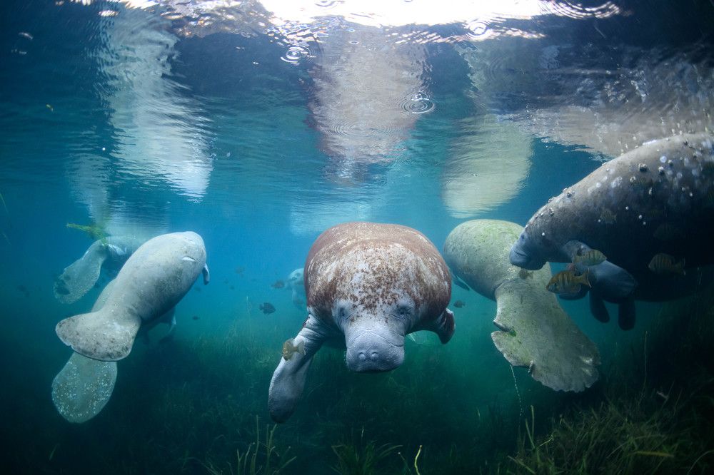 Photograph by Ichinoseki Sayaka