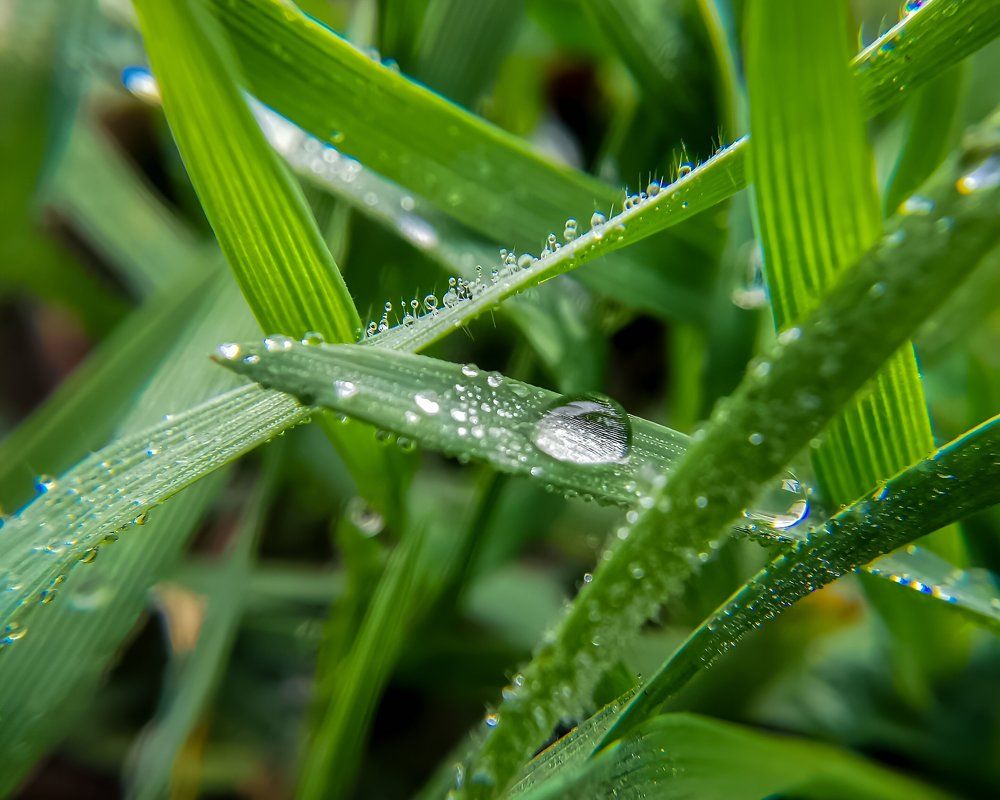 Фотография автора Дмитрий