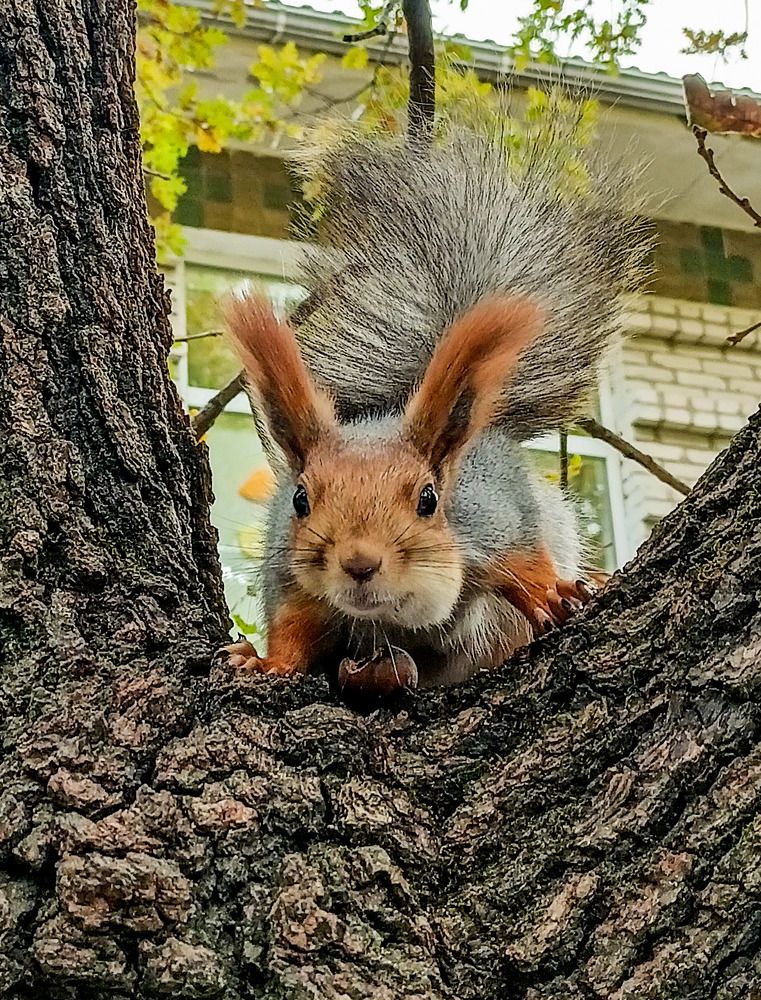 Photograph by Олег Башкуров