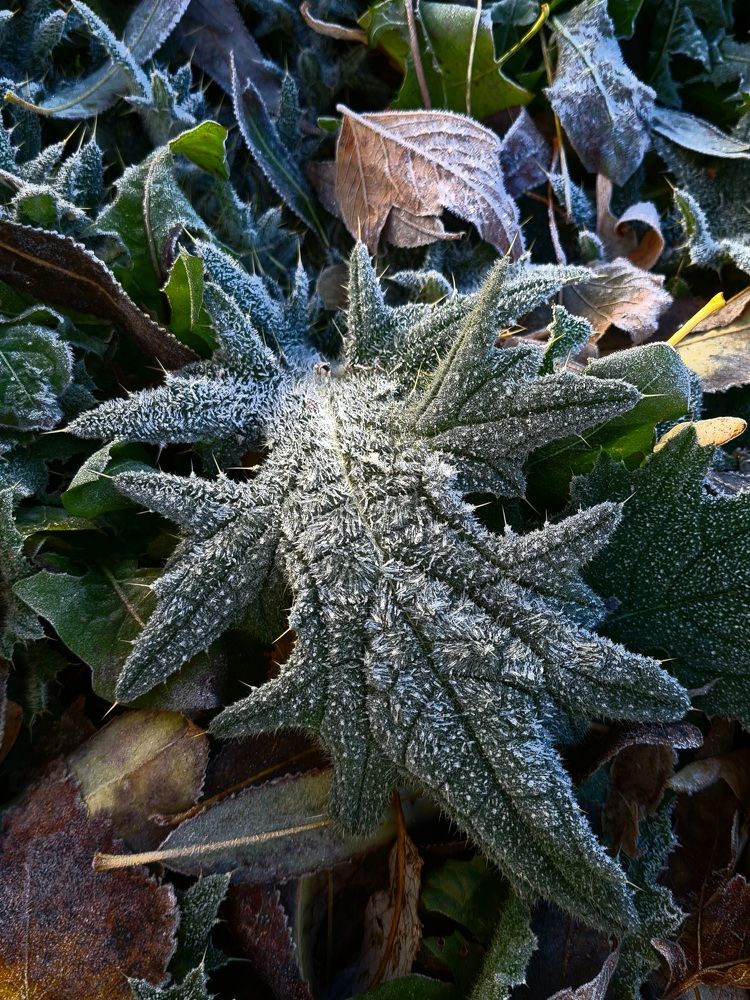 Photograph by Elena Batuzova