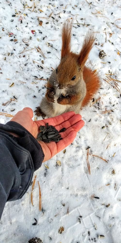 Photograph by Женя Евсеева