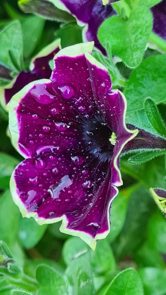 Photograph by Elena Batuzova