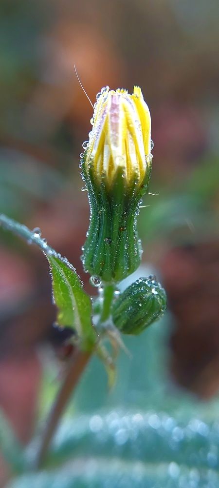 Фотография автора Сергей Можаев