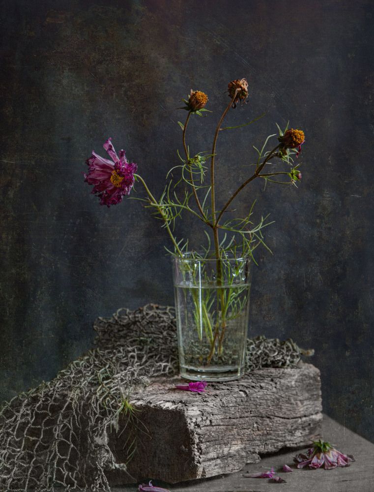 Photograph by Татьяна Панчешная