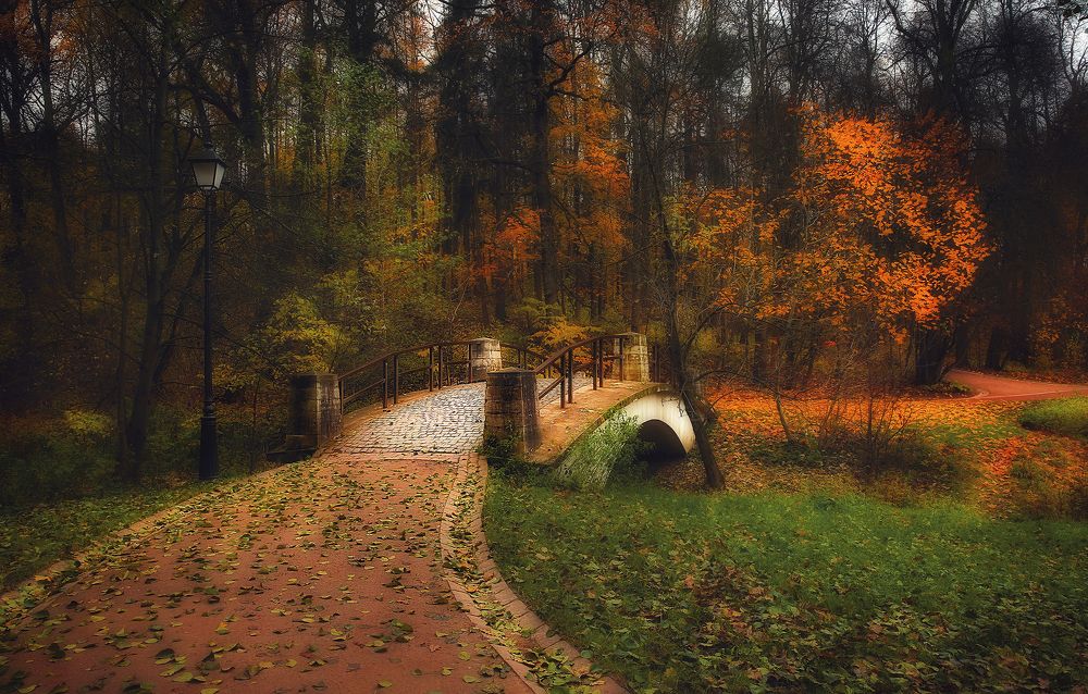 Photograph by Алексей Назаров