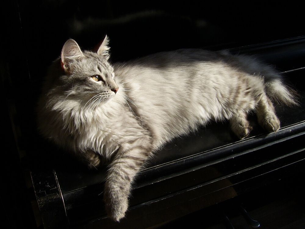 Photograph by Пищулина Ксения