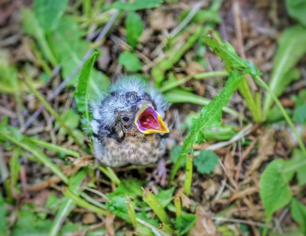 Photograph by Мария Андреева