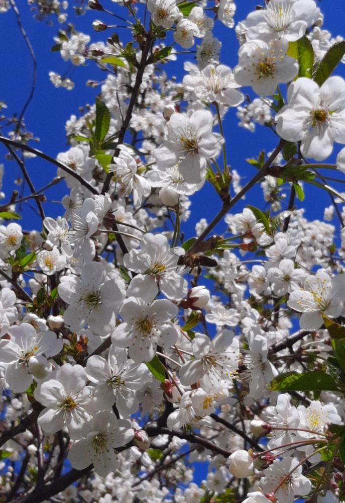 Photograph by Елизавета Карюченко