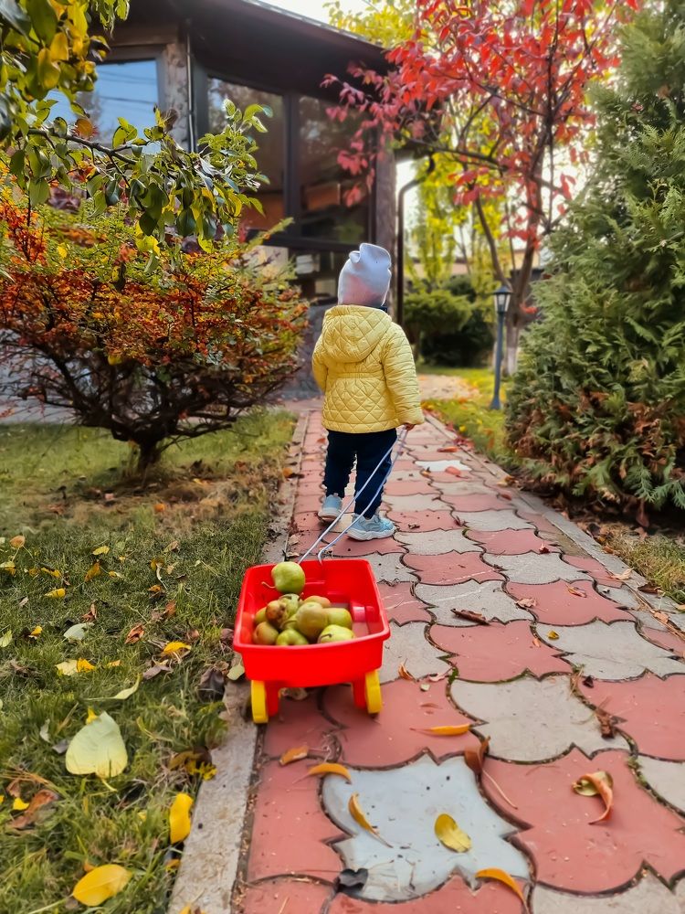 Photograph by Ирина Андриенко