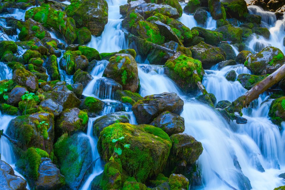 Фотография автора esti lahat