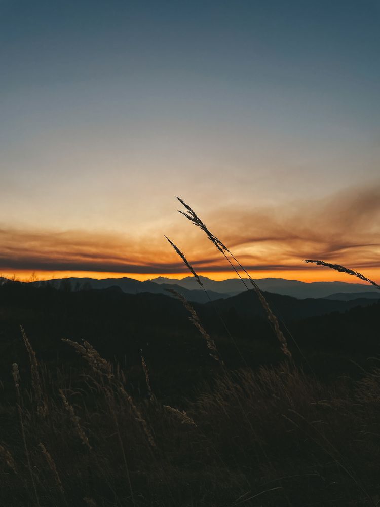 Фотография автора Oksana Yurasova