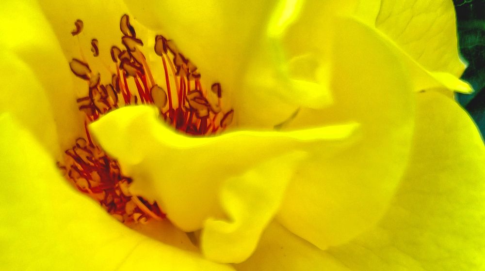 Photograph by Ирина Герлин