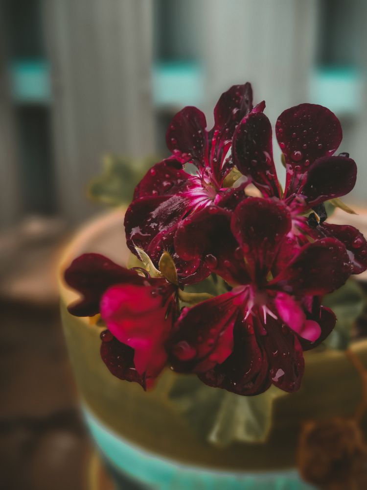 Photograph by Ирина Герлин