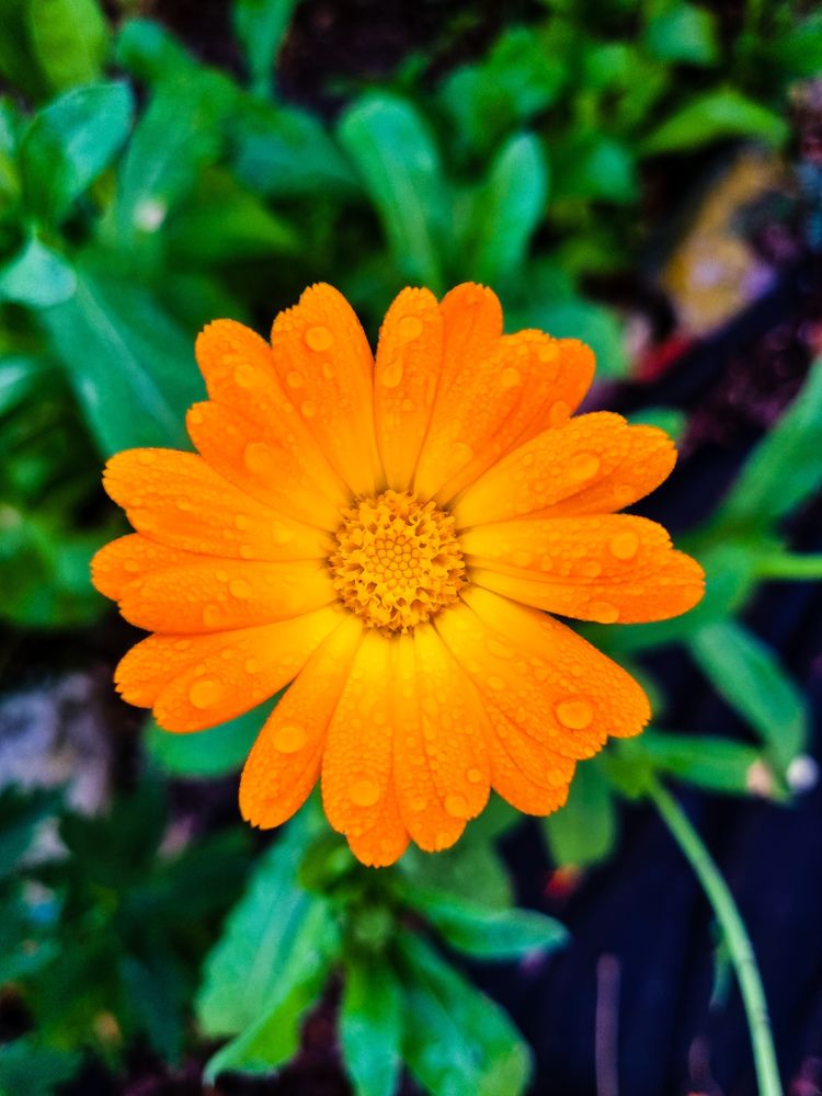 Photograph by Ирина Герлин