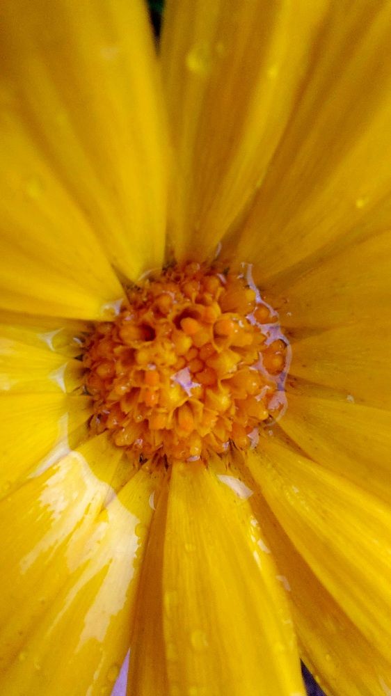 Photograph by Ирина Герлин