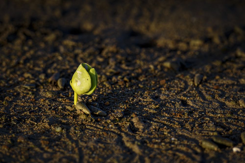Photograph by Trung Kiên Bui