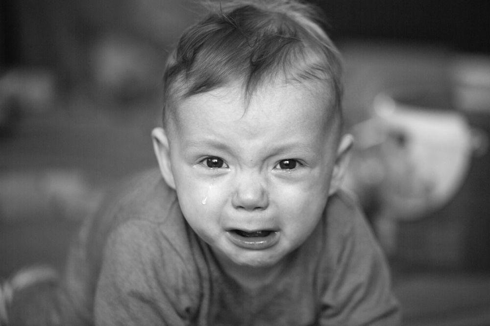 Photograph by Julia Celminska