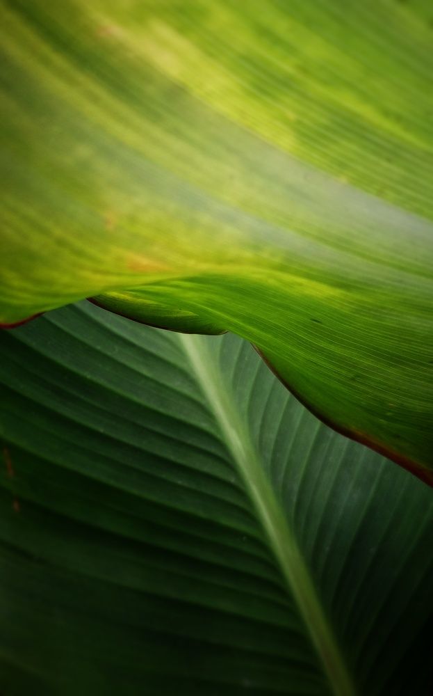 Photograph by Людмила М