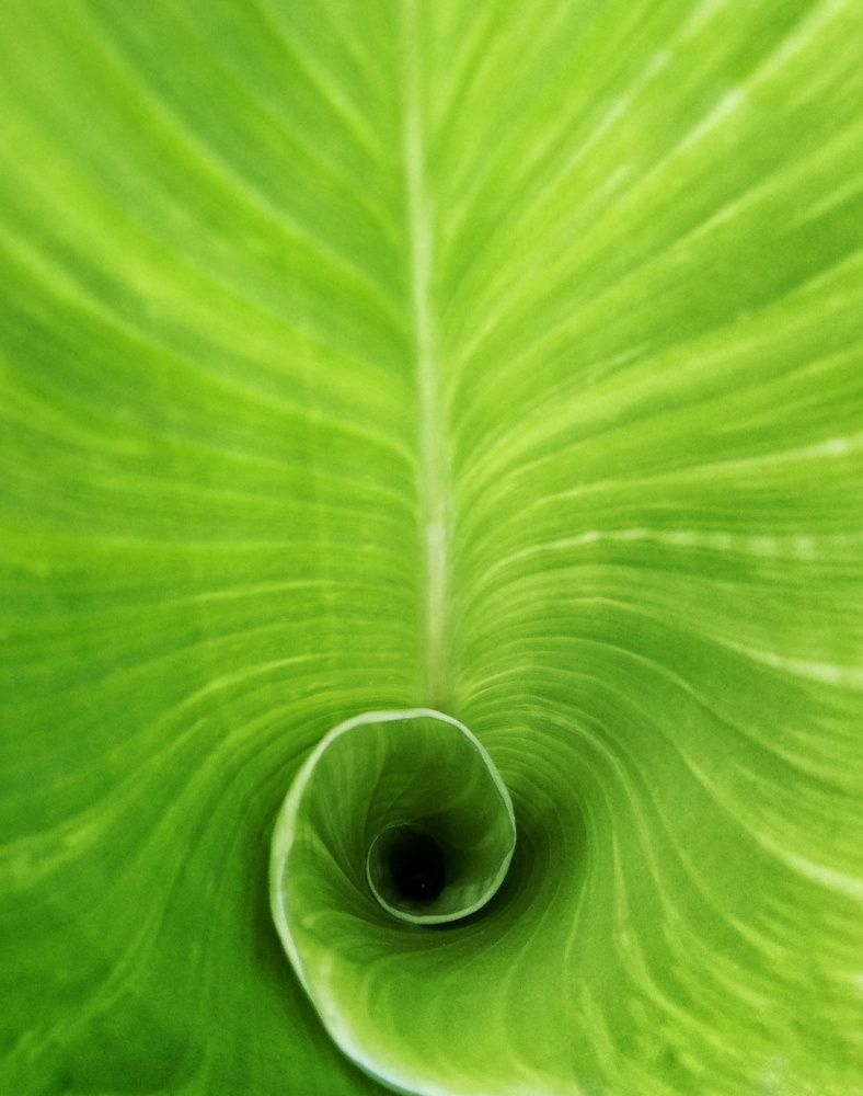 Photograph by Людмила М