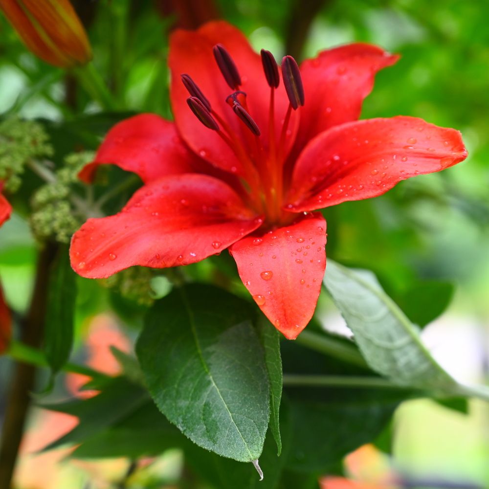 Фотография автора Slavica Gligorievska