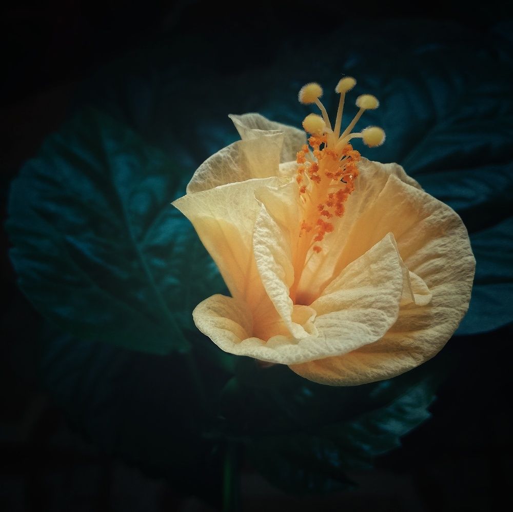 Photograph by Татьяна Смирнова