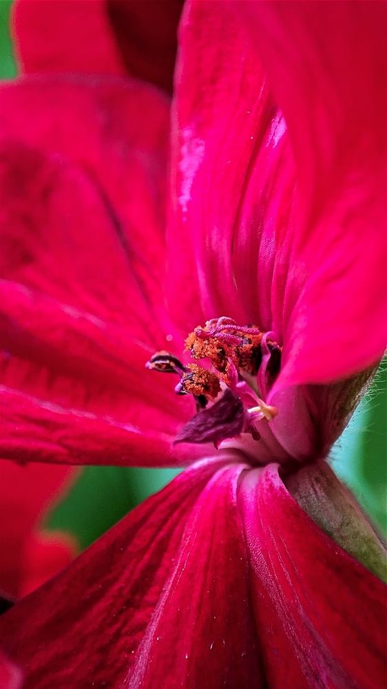 Photograph by Иван Егупов