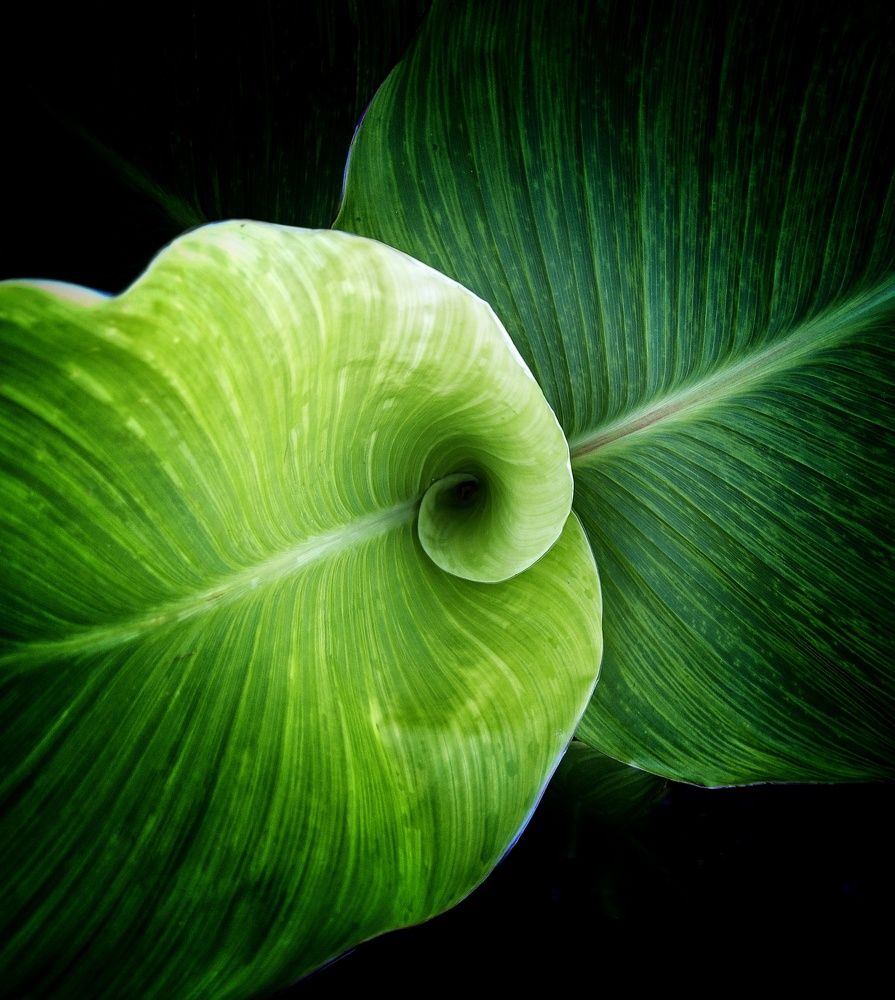 Photograph by Людмила М