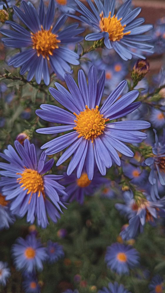 Photograph by Эльнура Ахметовa