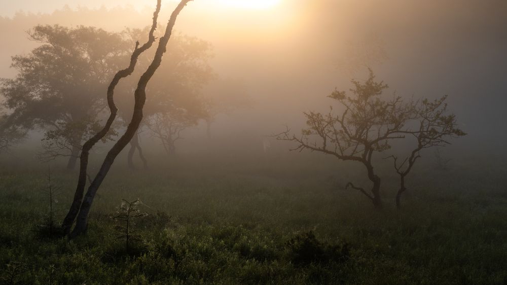 Photograph by Takemura Takumi