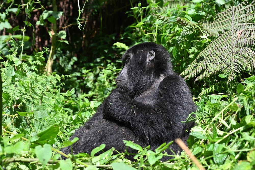 Фотография автора Slavica Gligorievska