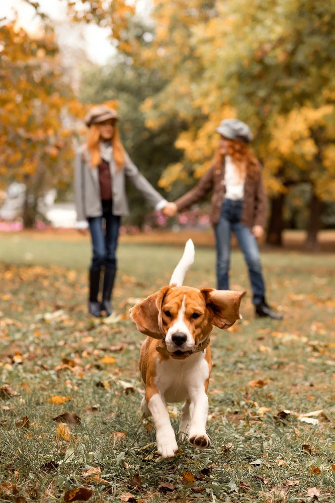 Фотография автора Маргарита Курносова
