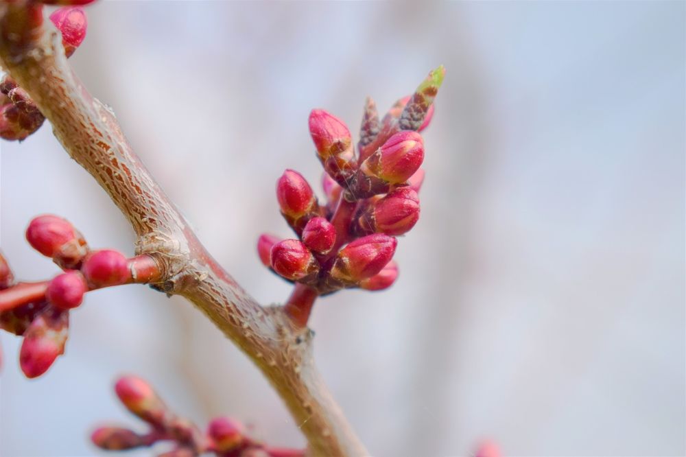 Photograph by Олег Лебедев