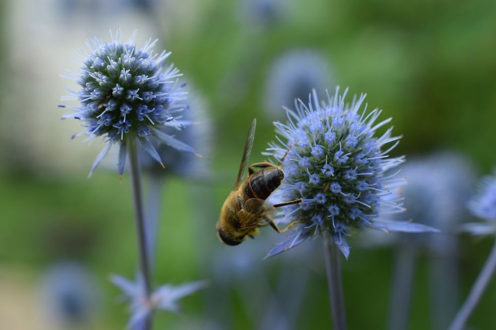 Photograph by Олег Лебедев