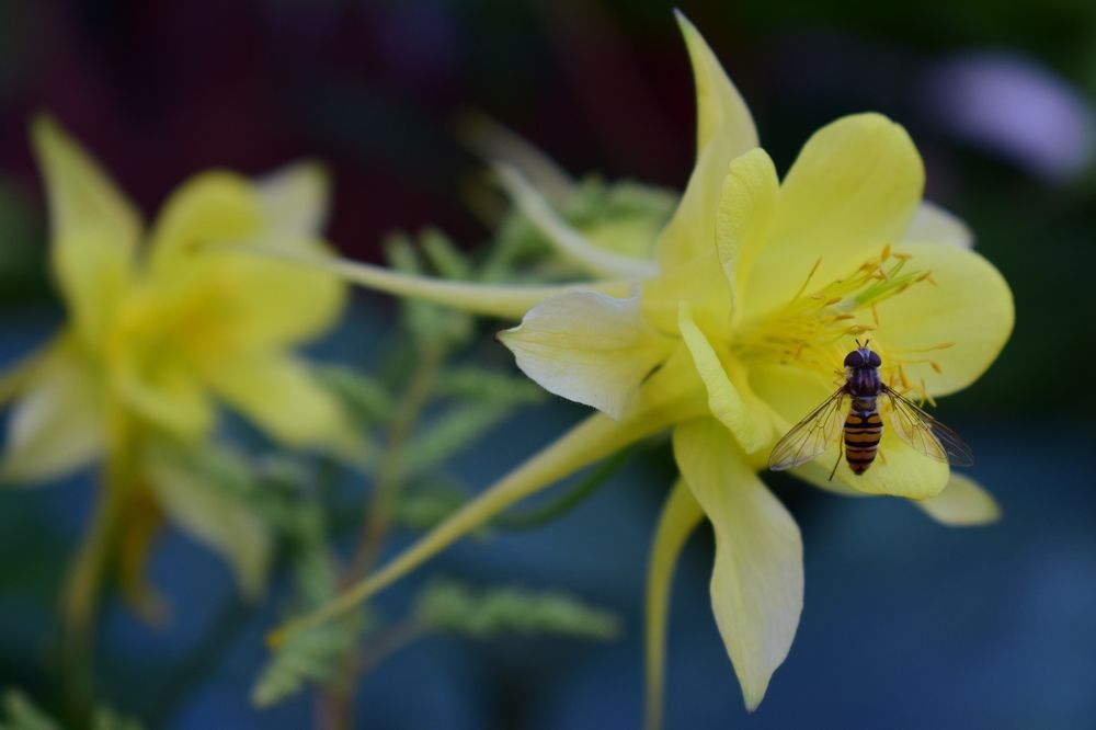 Photograph by Олег Лебедев