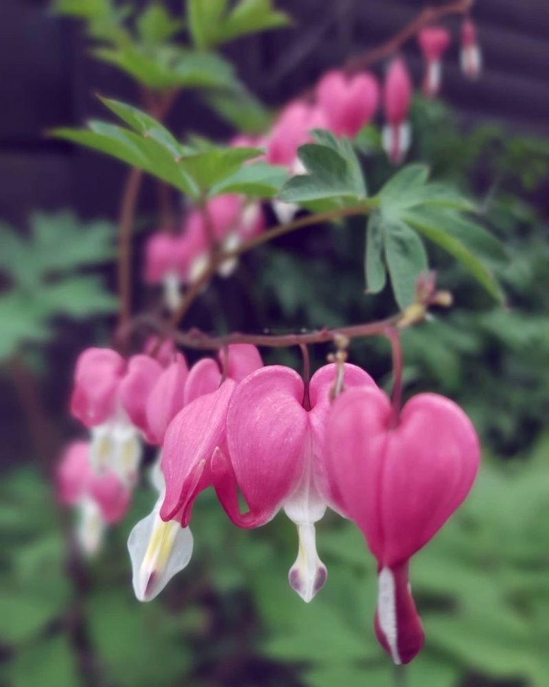 Photograph by Олег Лебедев