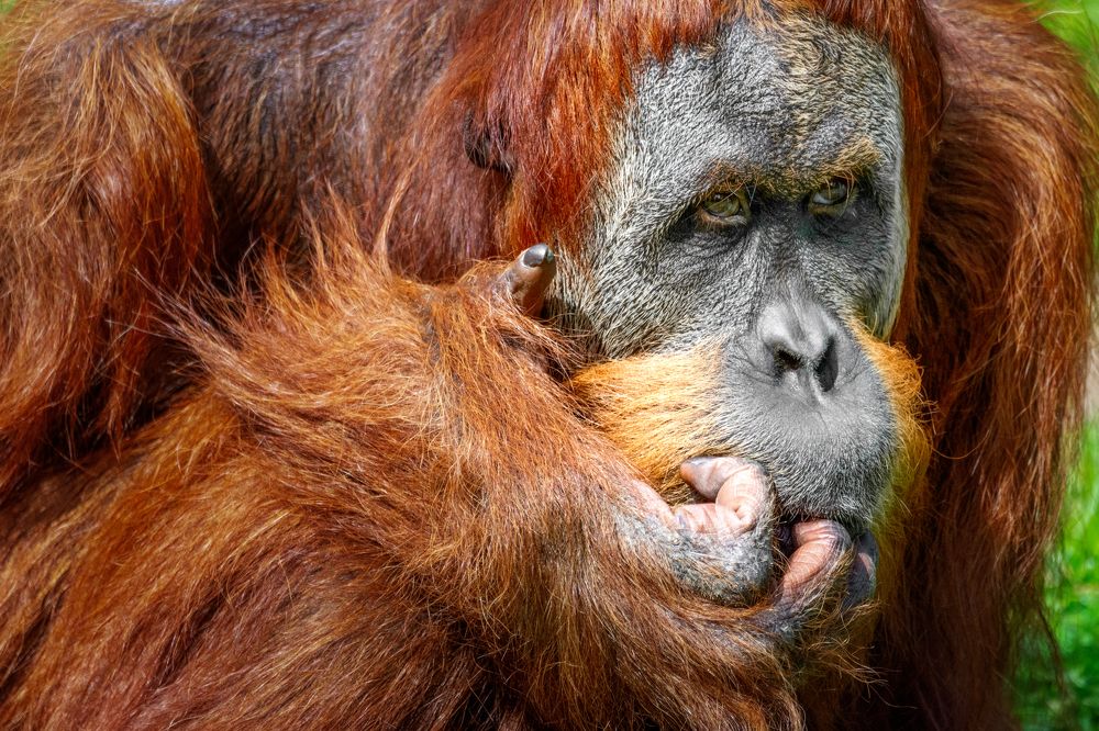 Photograph by David Lerer