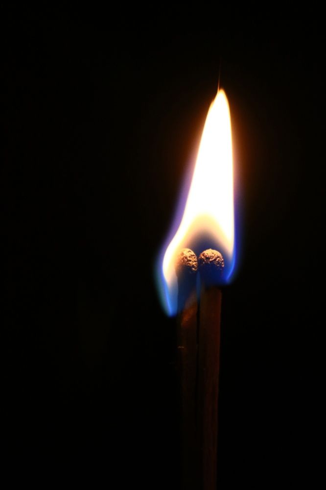 Photograph by Светлана Шуткова