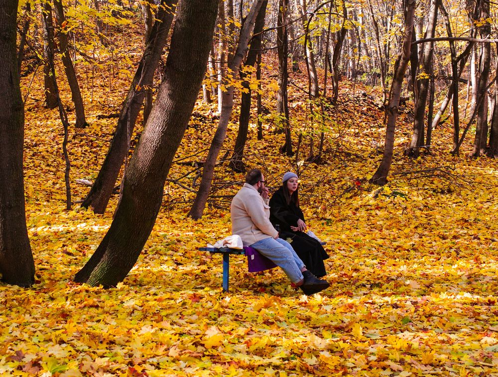 Photograph by Алла Никушкина