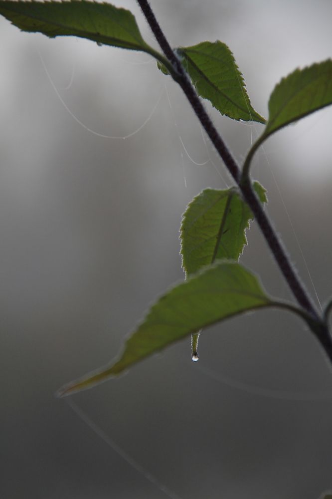 Фотография автора Анастасия Зверева