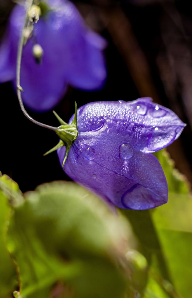 Photograph by Наталья Канарейкина