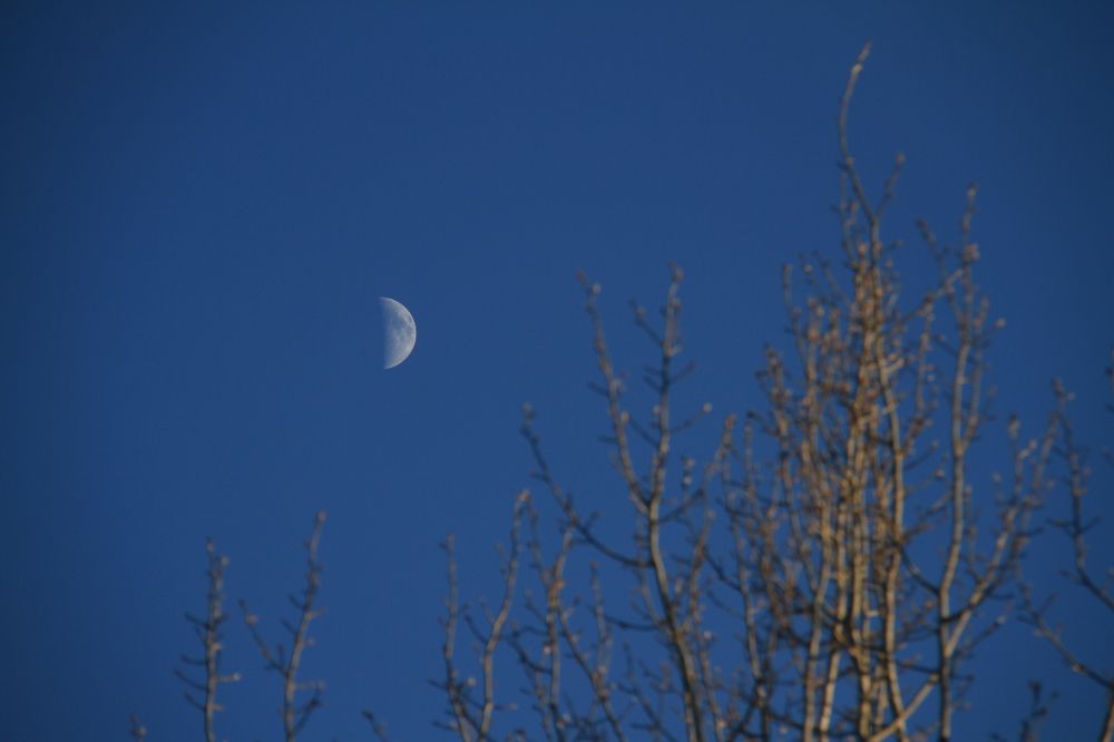 Фотография автора Анастасия Зверева