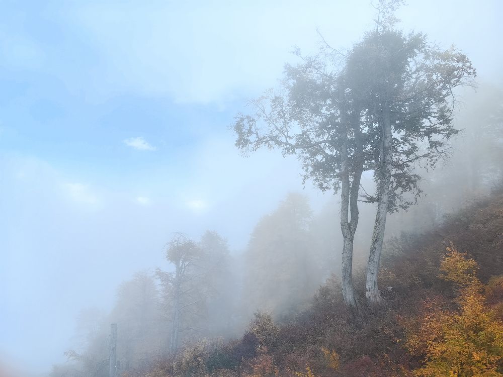 Photograph by Миля Сухарева