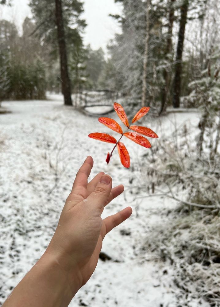 Photograph by Шестакова Елена