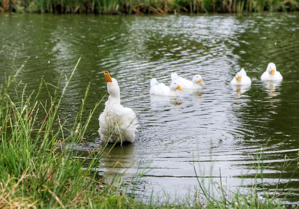 Photograph by Мария Андреева